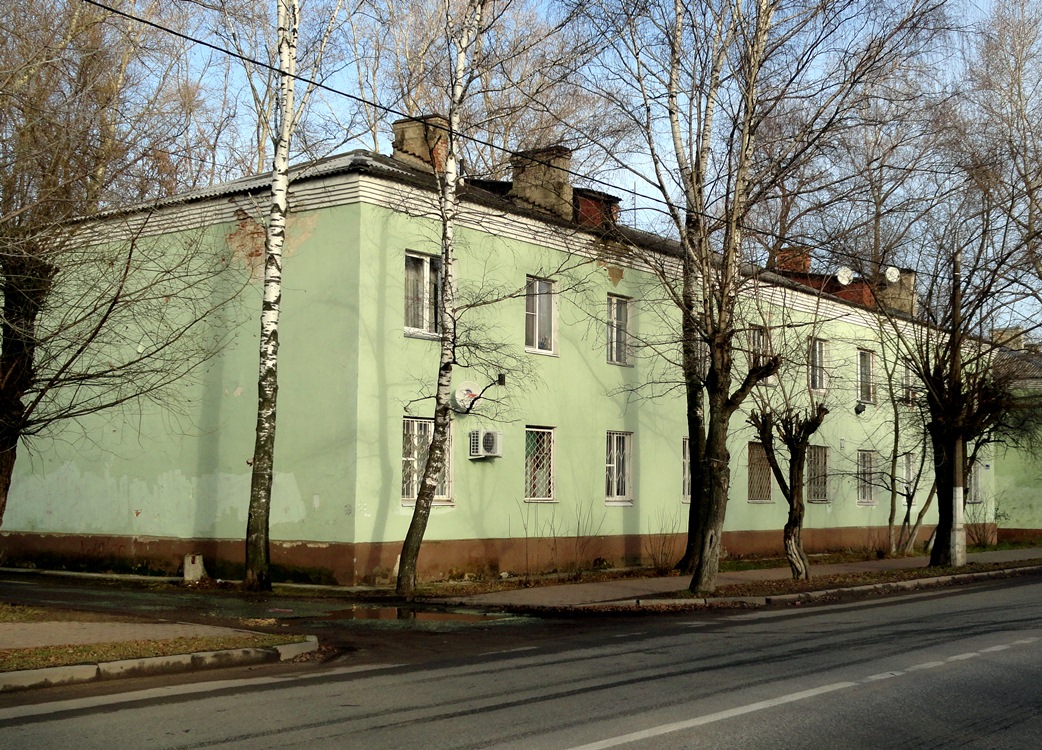 Орехово-Зуево, Улица Козлова, 22