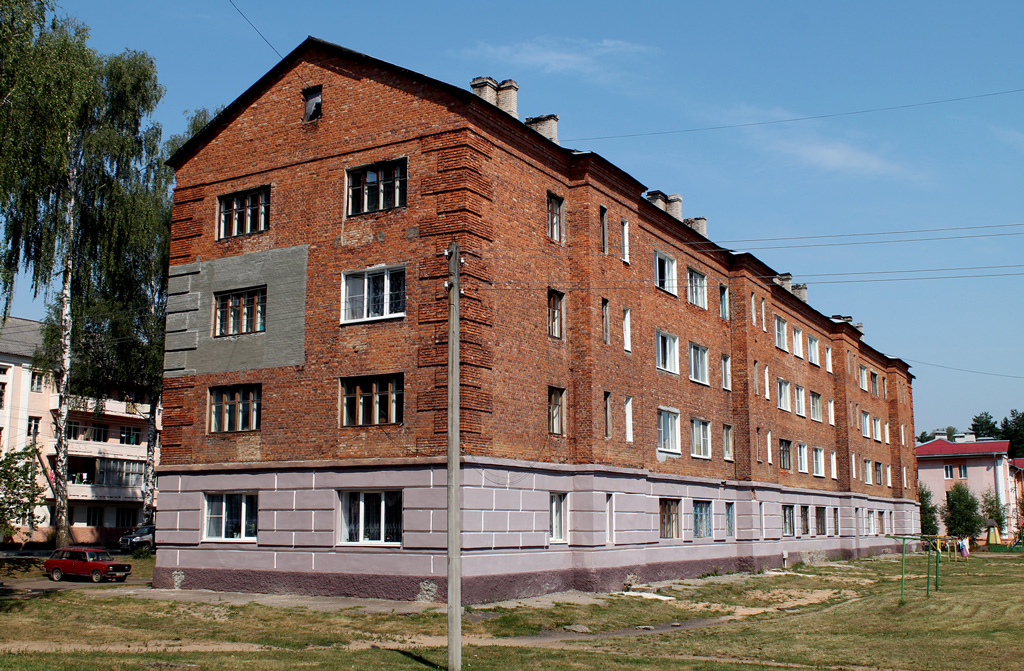 Новополоцьк, Боровуха, Армейская улица, 4