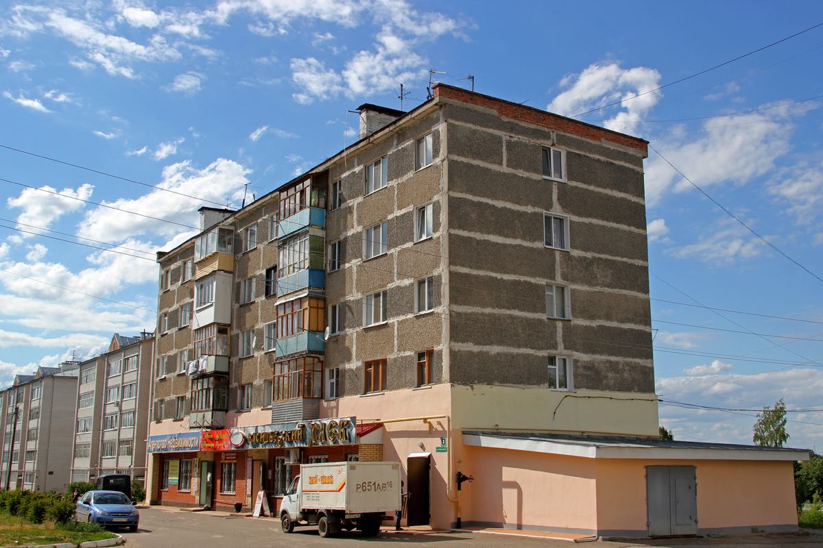 Васильево, Праздничная улица, 3