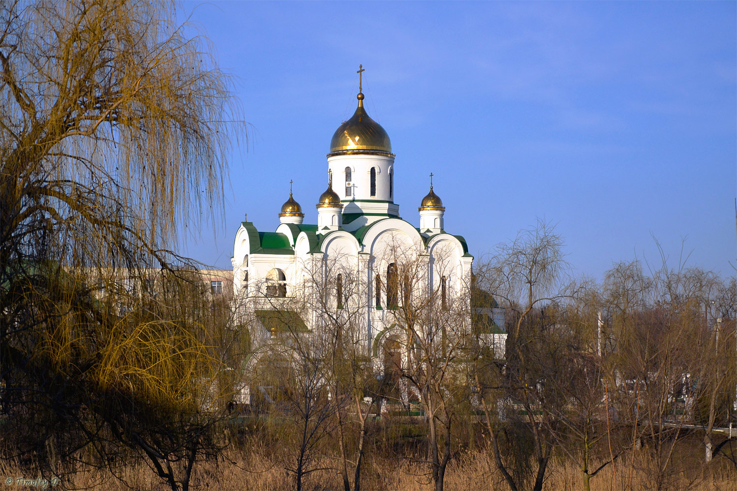 Тирасполь, Улица Карла Маркса, 81