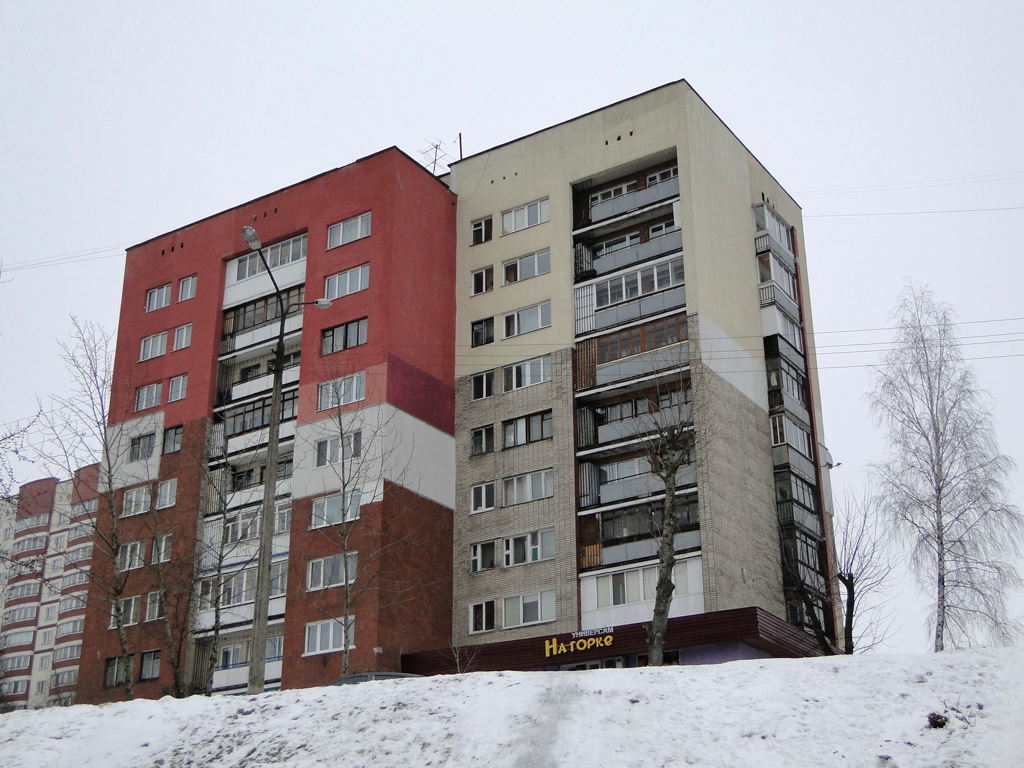 Минск, Улица Варвашени, 20 корп. 2