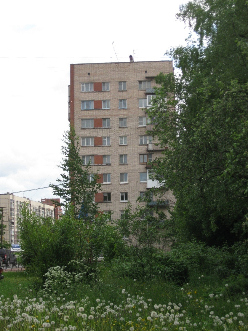 Санкт-Петербург, Проспект Обуховской Обороны, 291 корп. 1