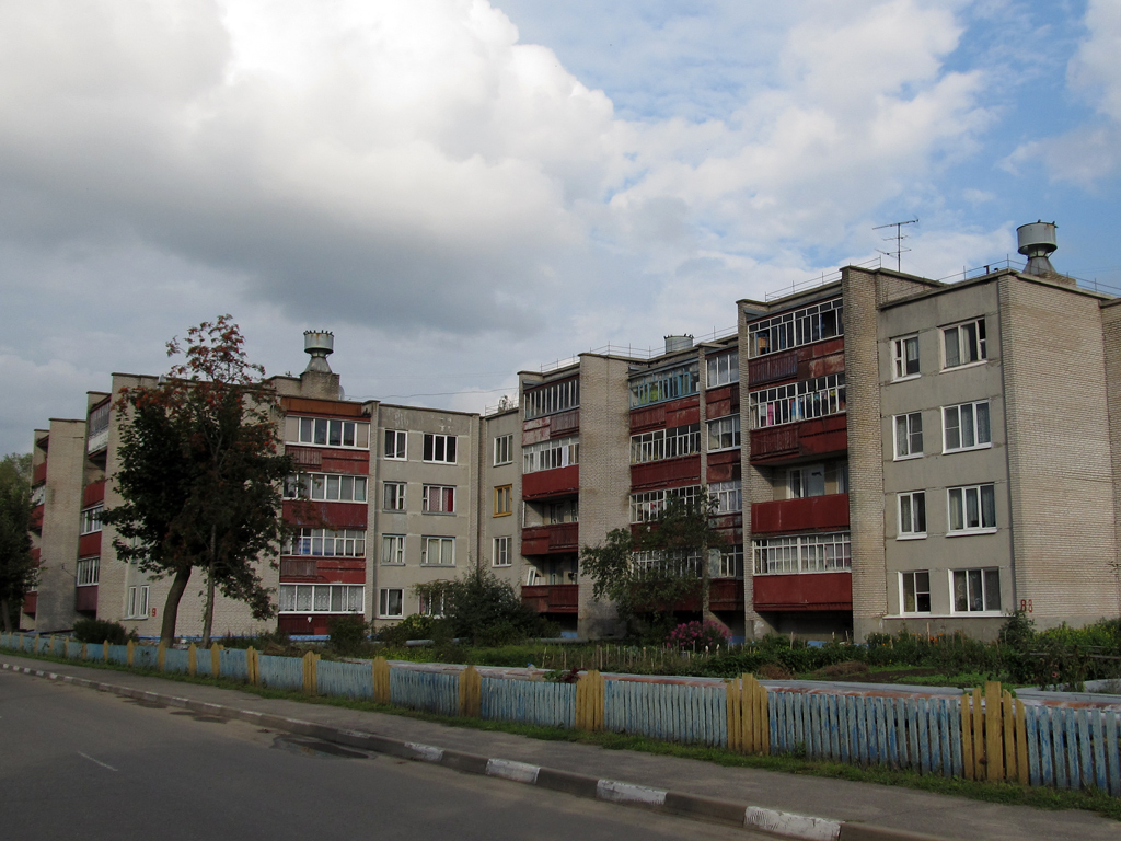Межисетки, Школьная улица, 8