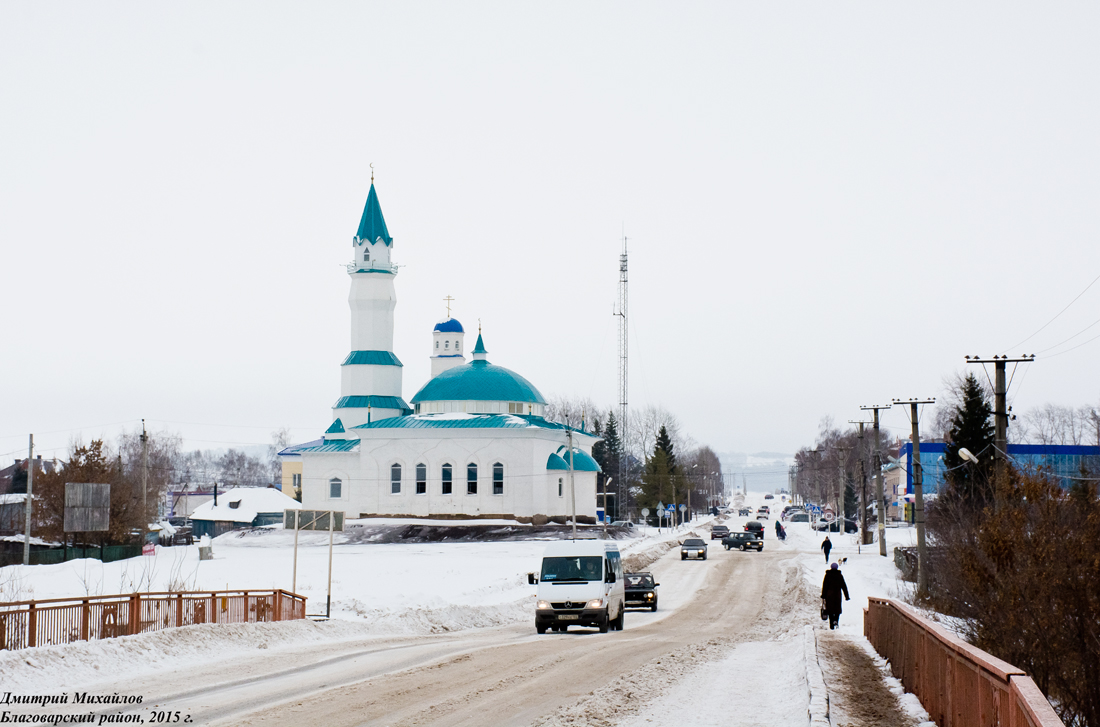 Благоварский район, прочие н.п., с. Языково, улица Пушкина, 10