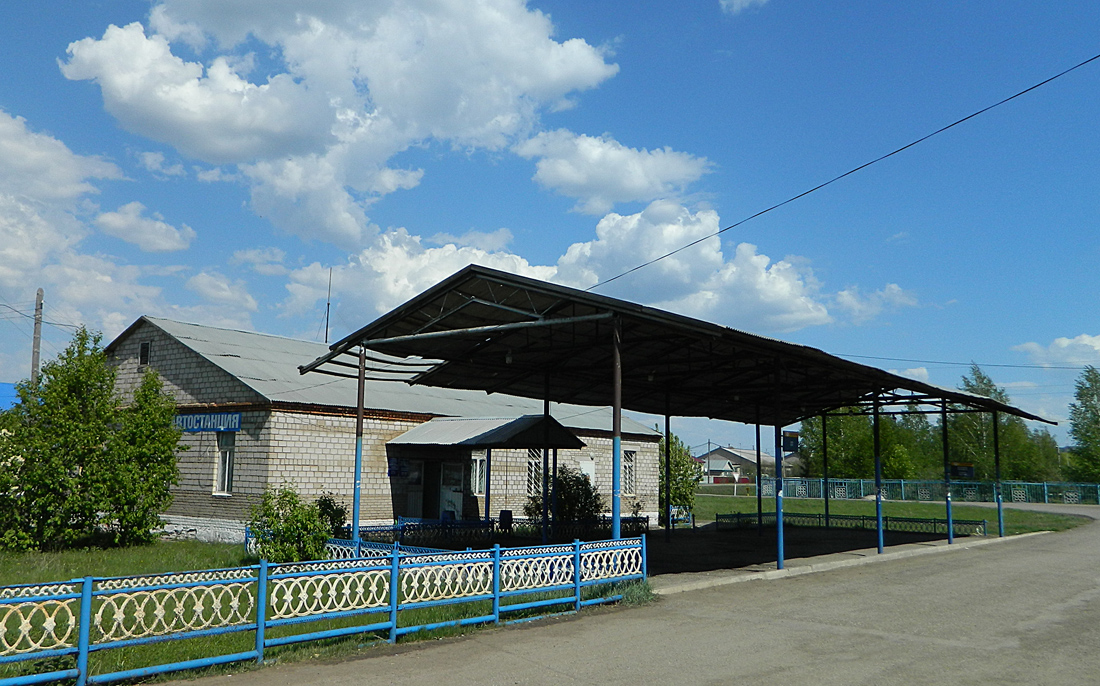 Благоварский район, прочие н.п., с. Языково, улица Пушкина, 23