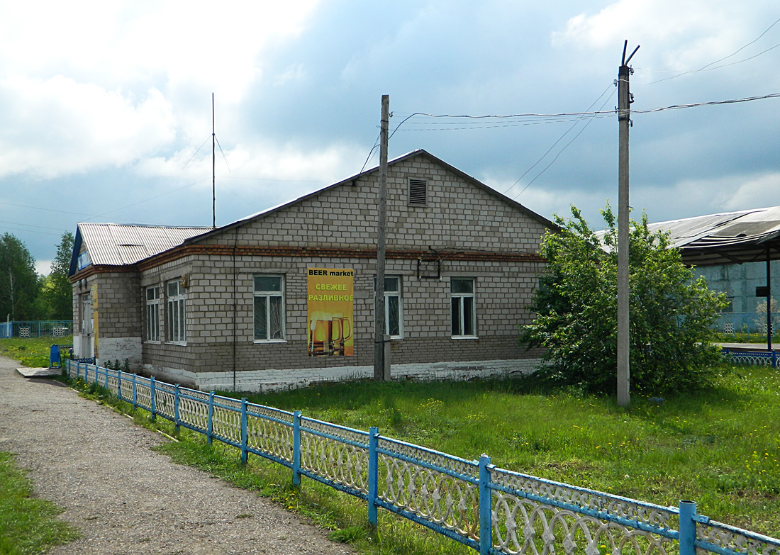 Благоварский район, прочие н.п., с. Языково, улица Пушкина, 23