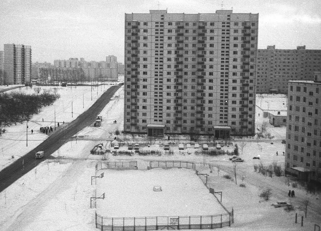 Москва, Борисовский проезд, 38