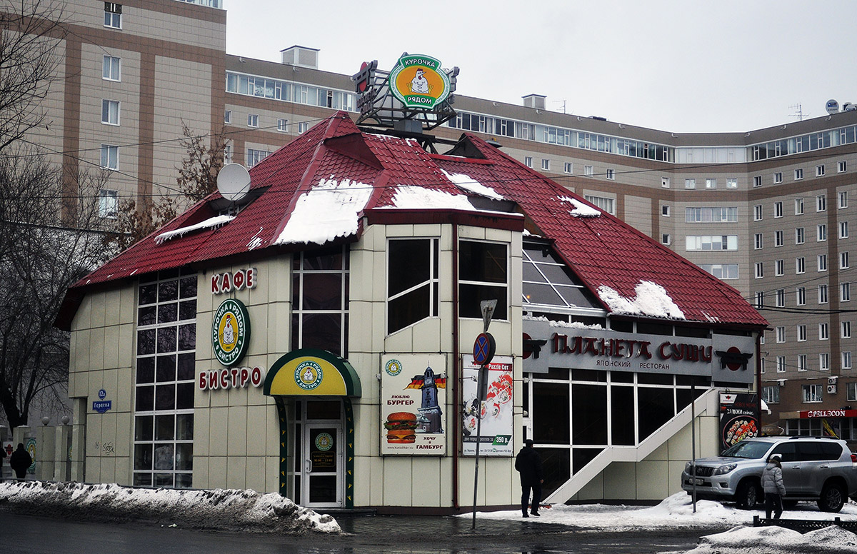 Омск, Улица Герцена, 12а