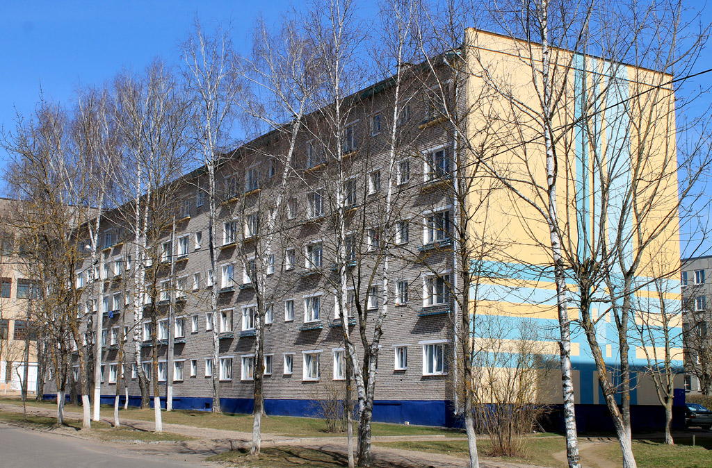 Вилейка, Улица Гагарина, 9