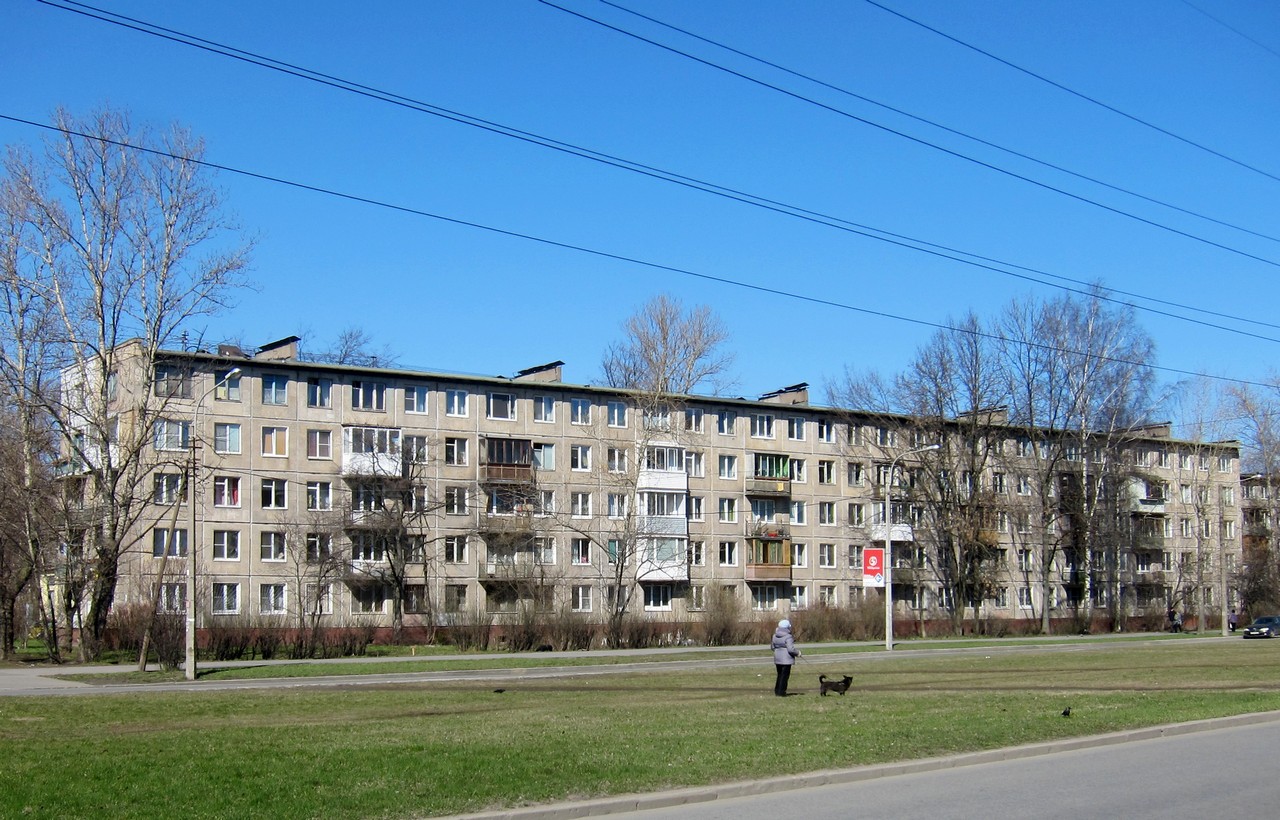 Санкт-Петербург, Улица Шелгунова, 29