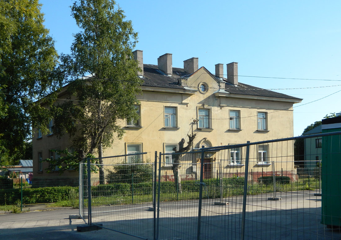 Палдиски, Adamsoni, 5