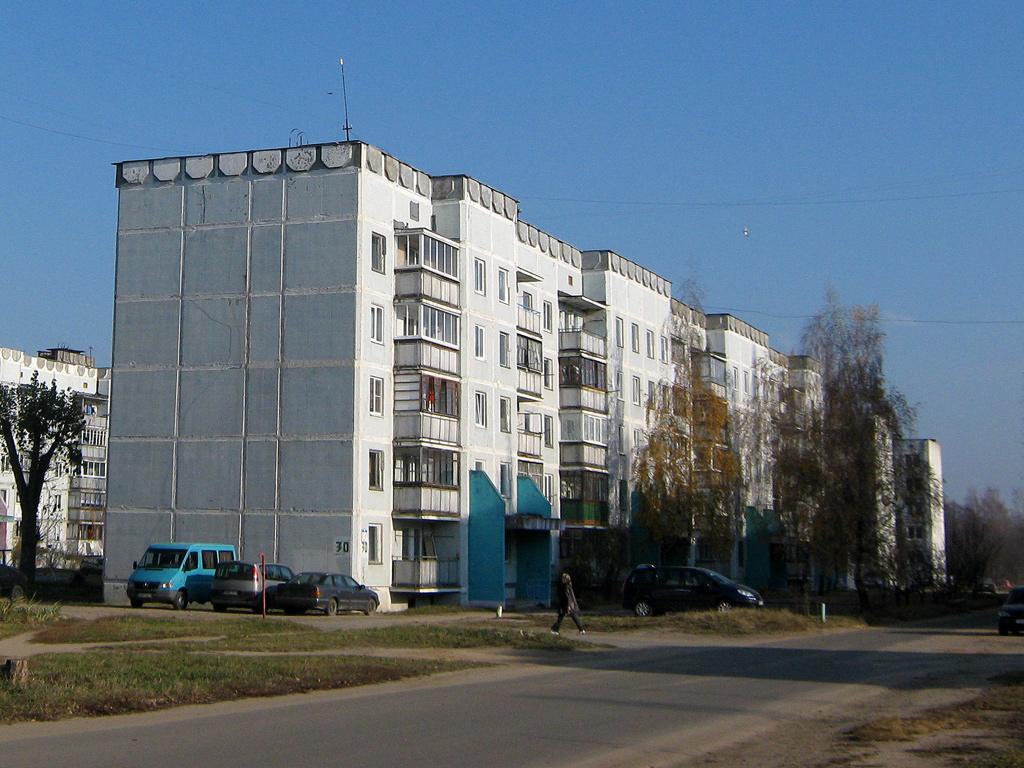 Марьина Горка, Улица Новая Заря, 30