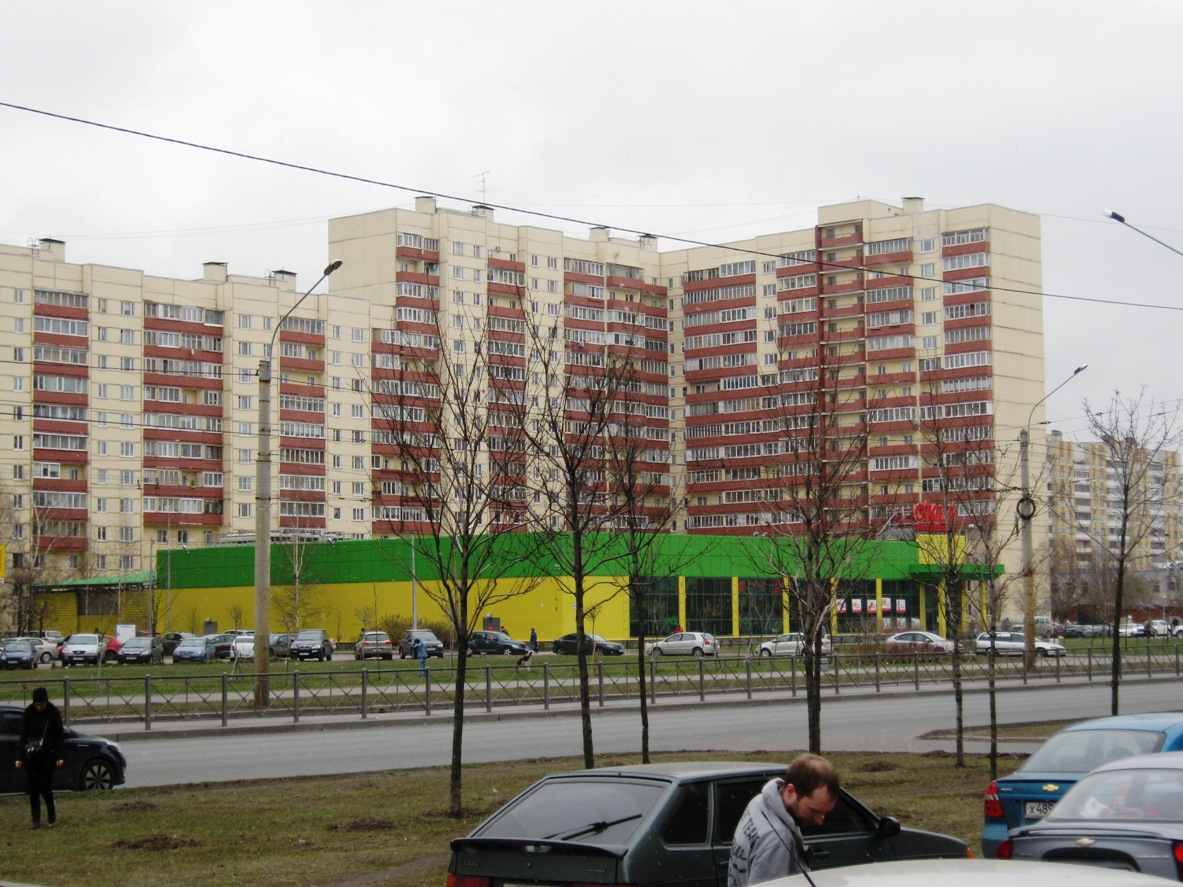 Санкт-Петербург, Ленинский проспект, 96 корп. 1; Ленинский проспект, 94