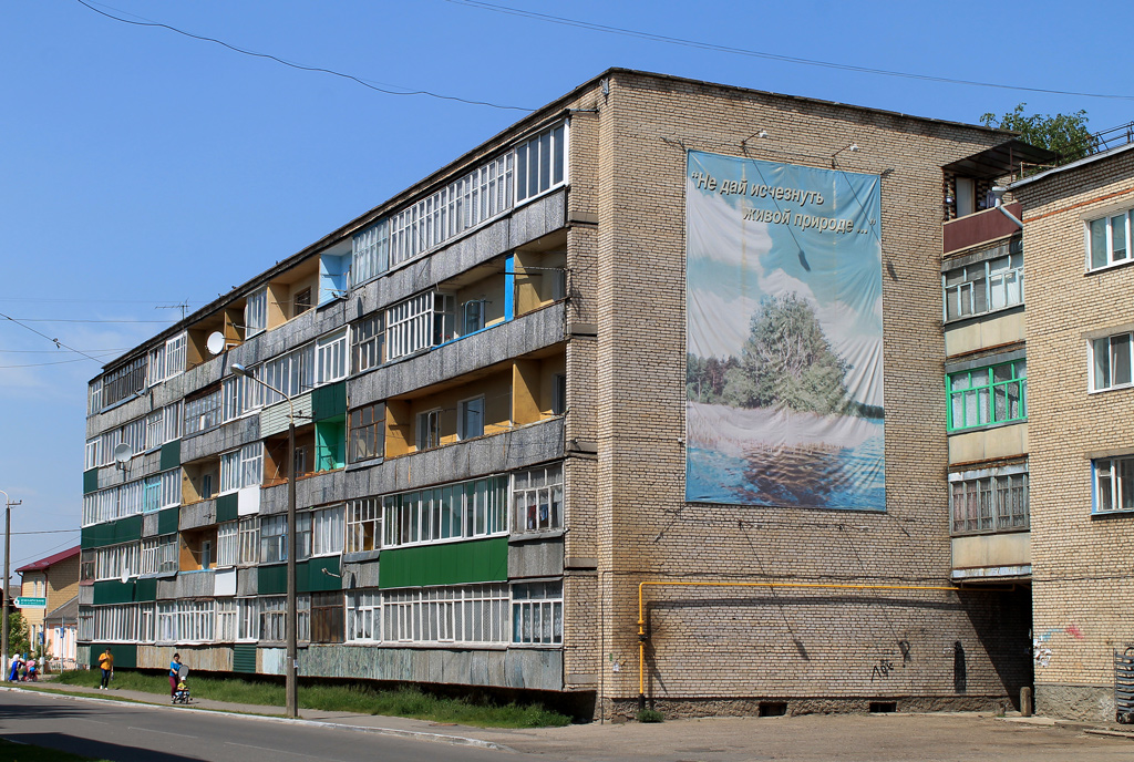 Рогачёв, Улица Василия Козлова, 11А
