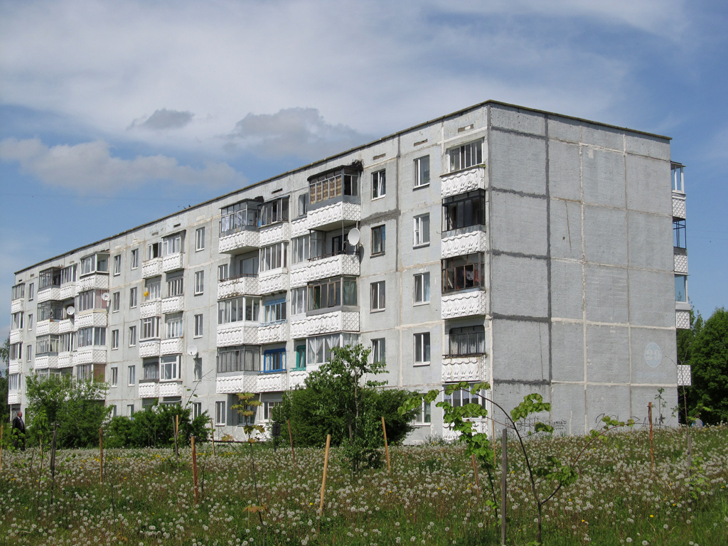 Новолукомль, Набережная улица, 29