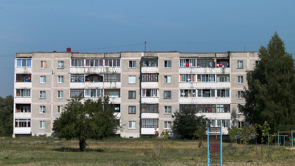 Берёза, Улица Владимира Ленина, 29