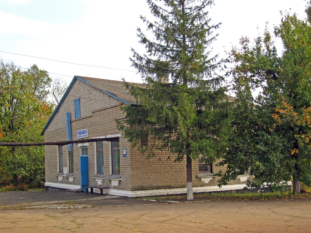 Горлівський район, інші н.п., с. Редкодуб, станция Редкодуб
