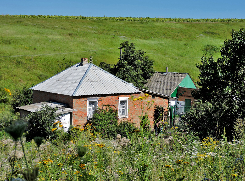 Харьковский район, прочие н.п., С. Александровка, 28