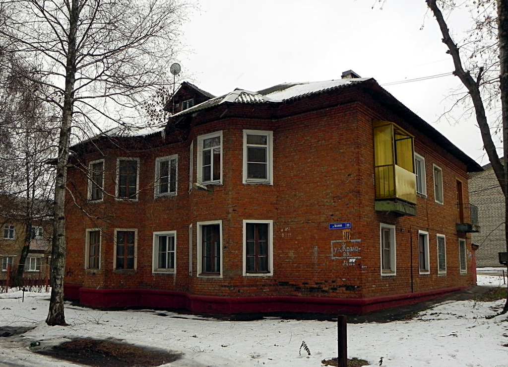 Коломна, Улица Козлова, 111