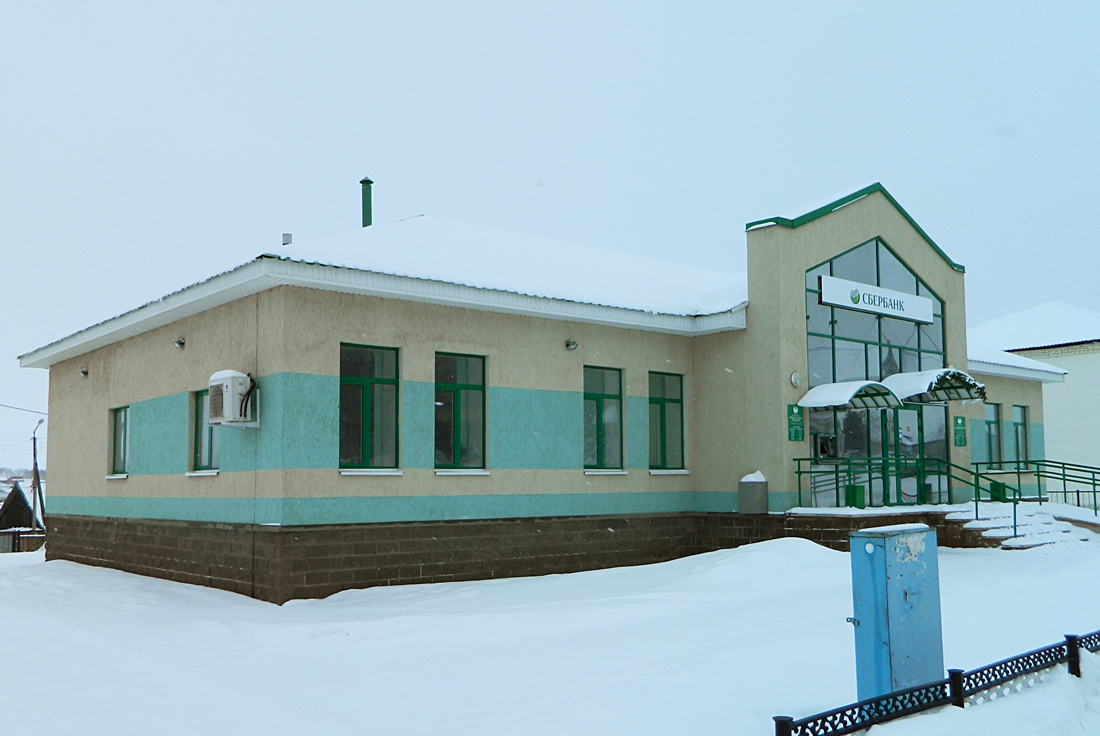 Благоварский район, прочие н.п., с. Языково, улица Ленина, 4