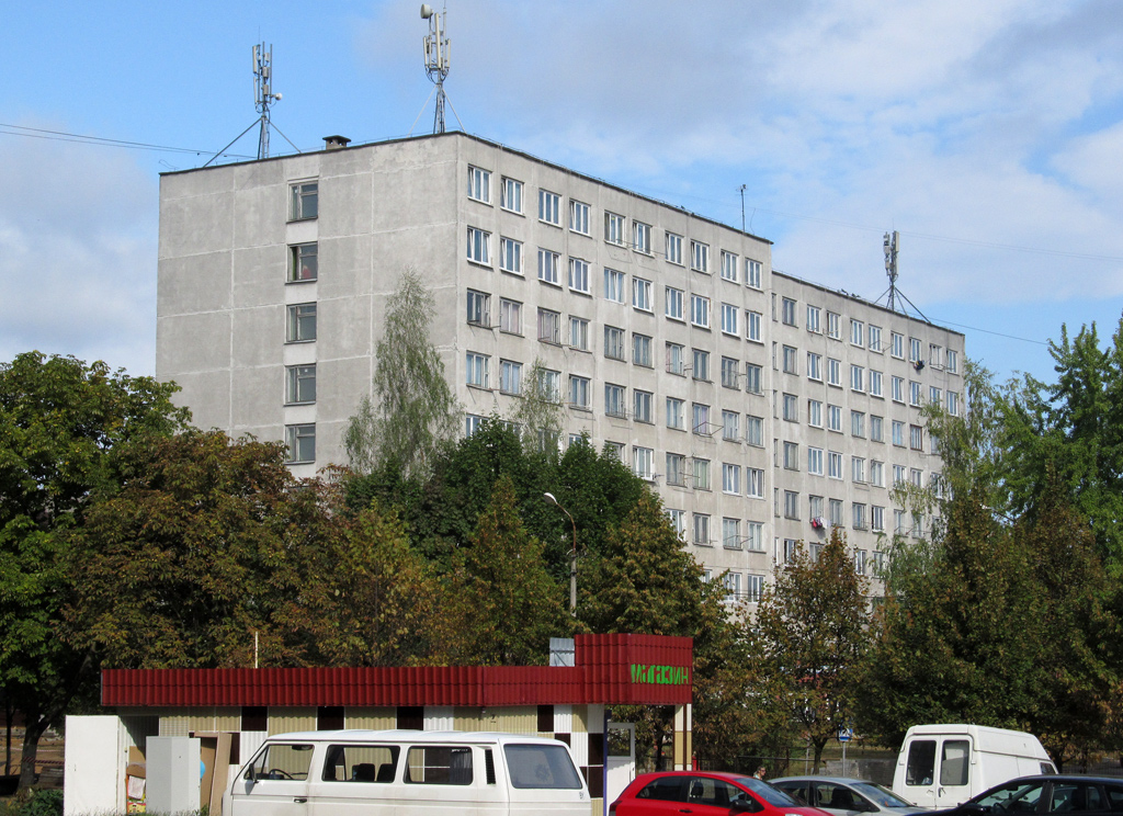 Лесной, Мирная улица, 17