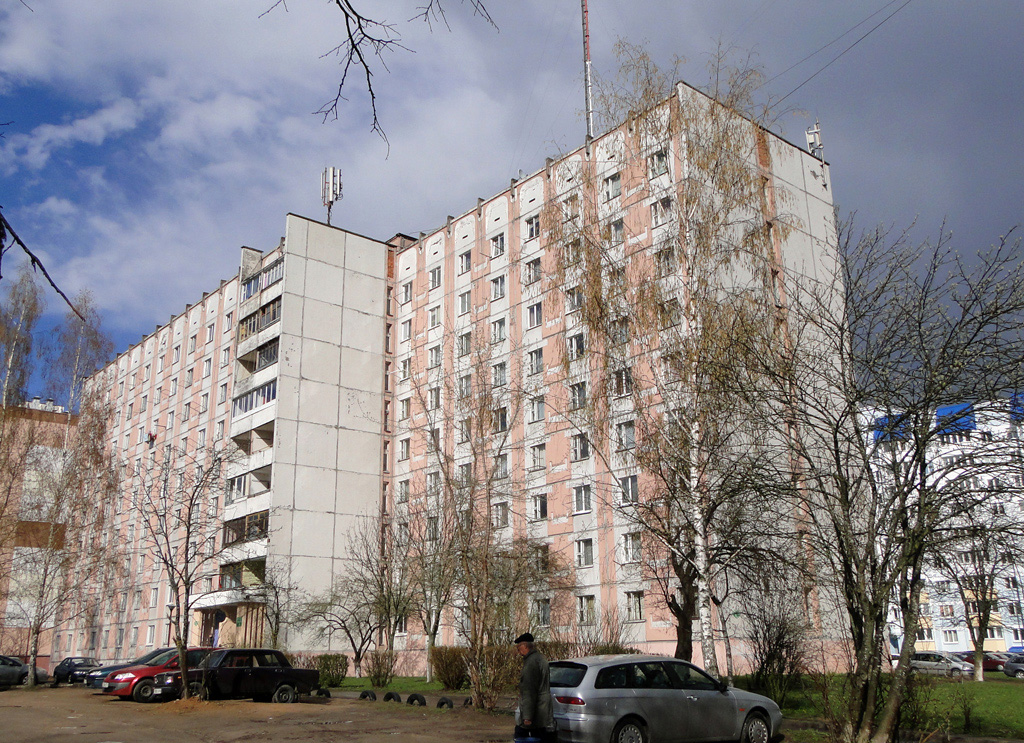 Лесной, Мирная улица, 15