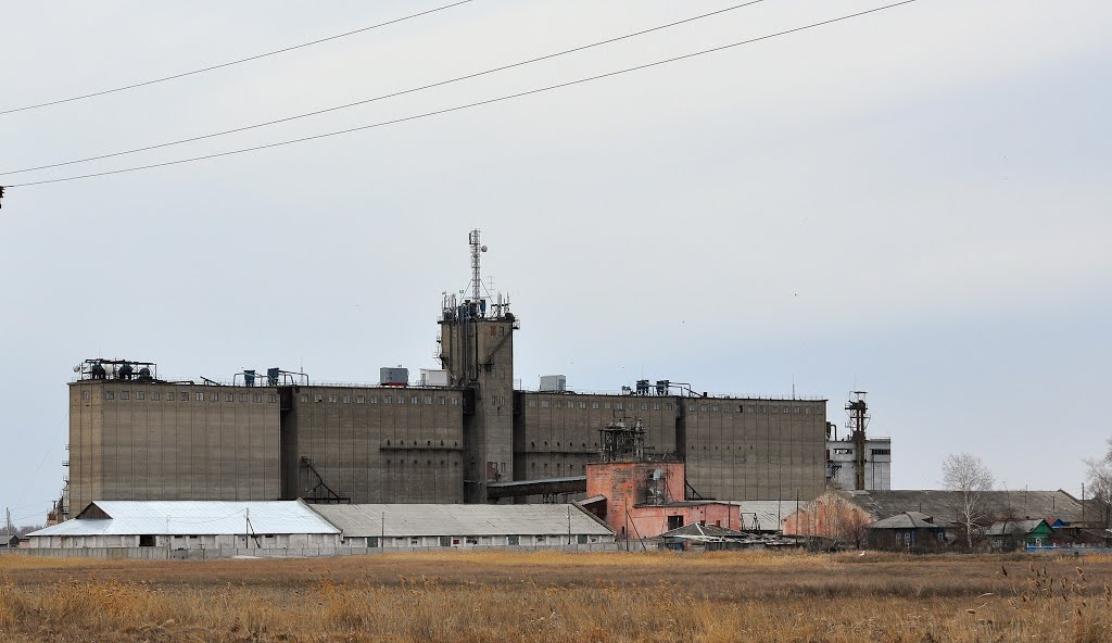 Калачинский район, прочие н.п., с. Ивановка, Зеленая улица, 2