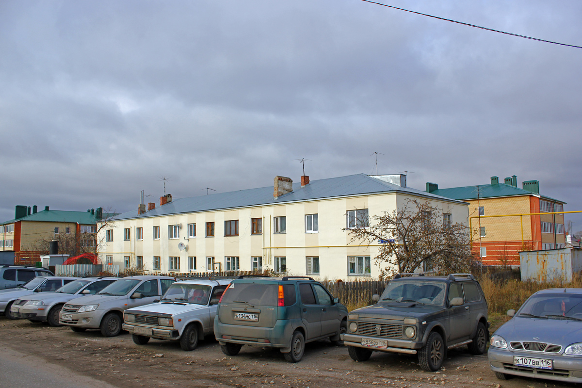 Лаишевский район, Усады, Улица ДСУ, 5