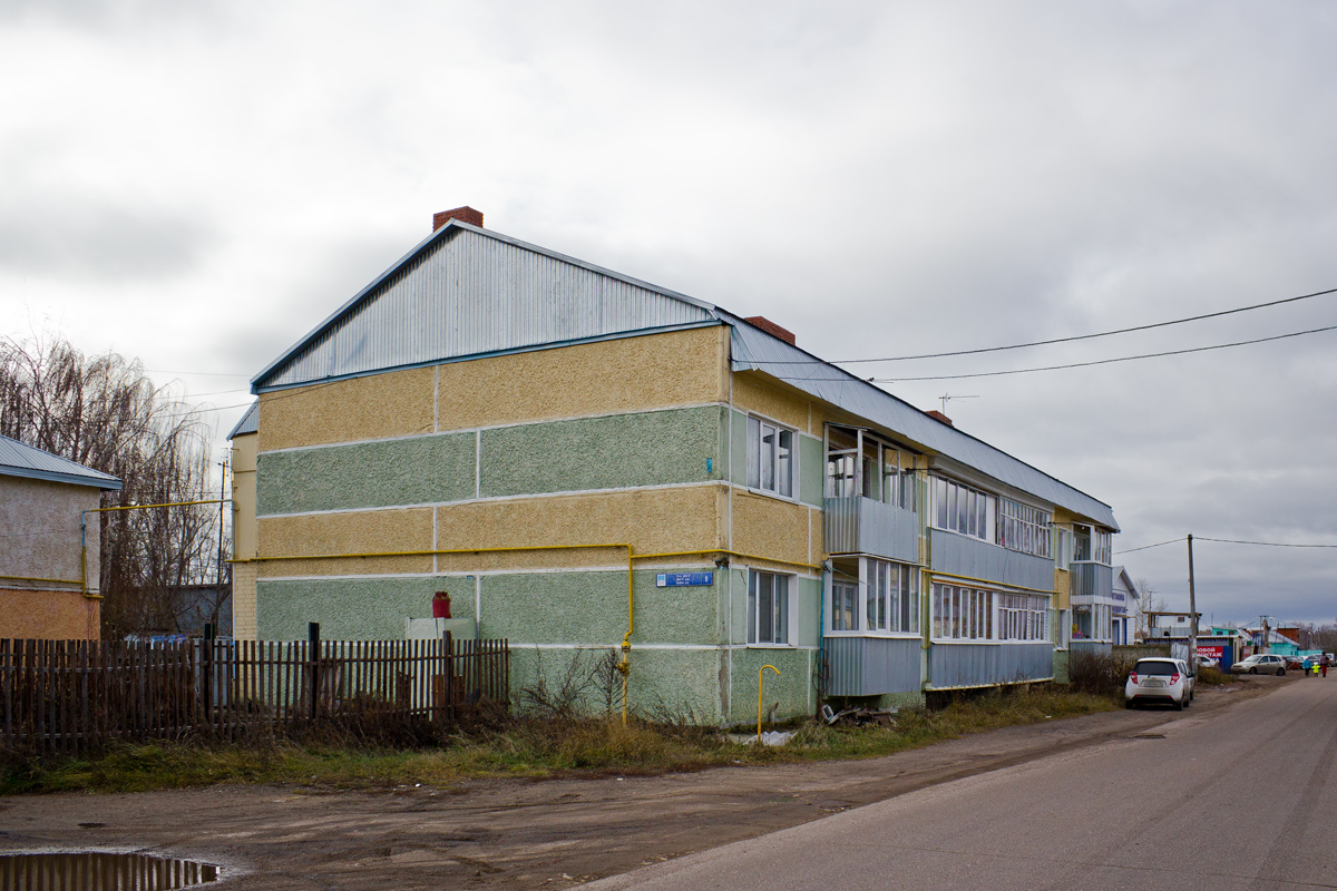 Laishevsky district, Usady, Улица ДСУ, 9