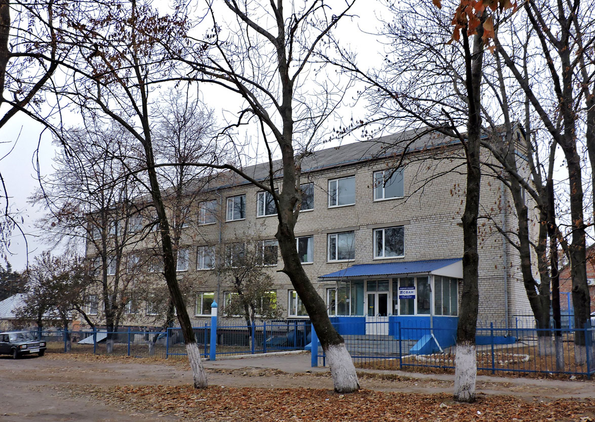 Вільшани, Улица Петровского, 1