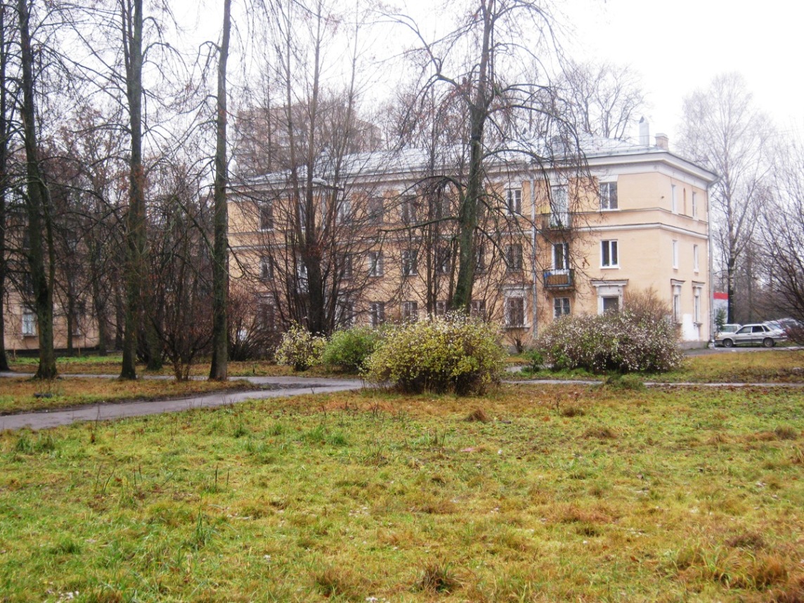 Санкт-Петербург, Улица Лётчика Пилютова, 20 корп. 2