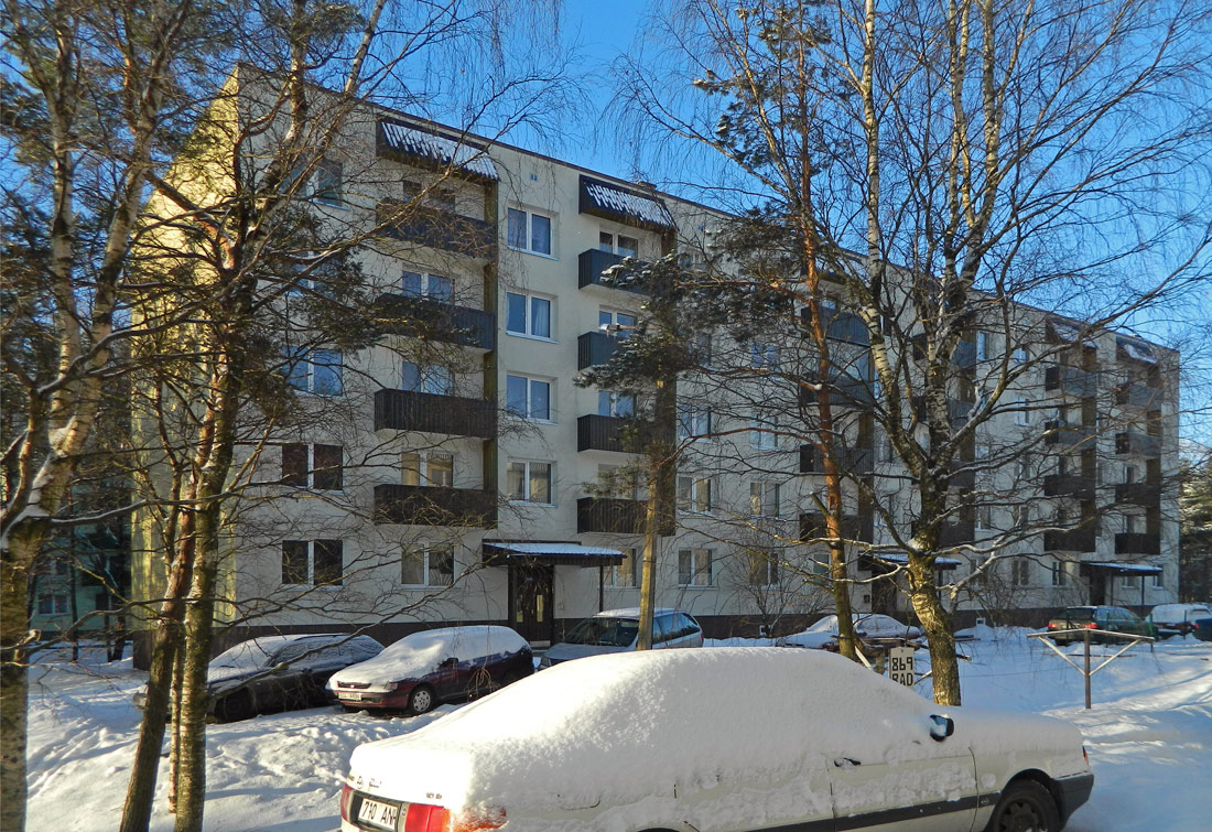 Таллин, Vabaduse puiestee, 213