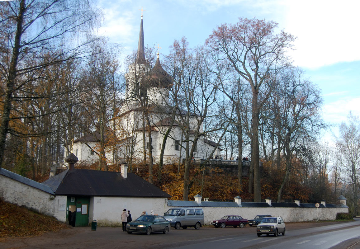 Пушкинские Горы, Пушкинская улица, 1