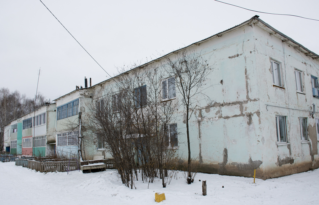 Благоварский район, прочие н.п., с. Языково, улица Друненкова, 20