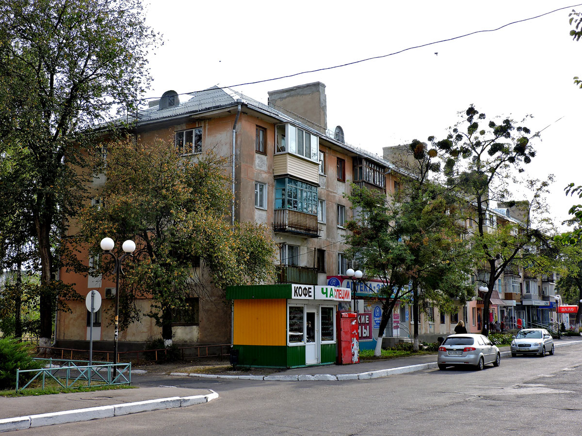 Змиёвский район, пгт Слобожанское, Улица Циолковского, 20