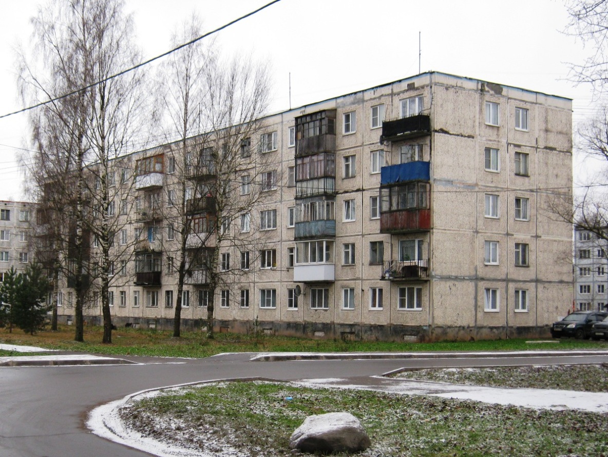 Гатчинский округ, прочие н. п., Новый Свет, 1