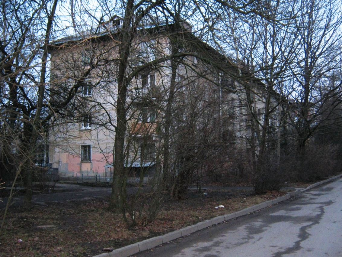 Санкт-Петербург, Улица Танкиста Хрустицкого, 92