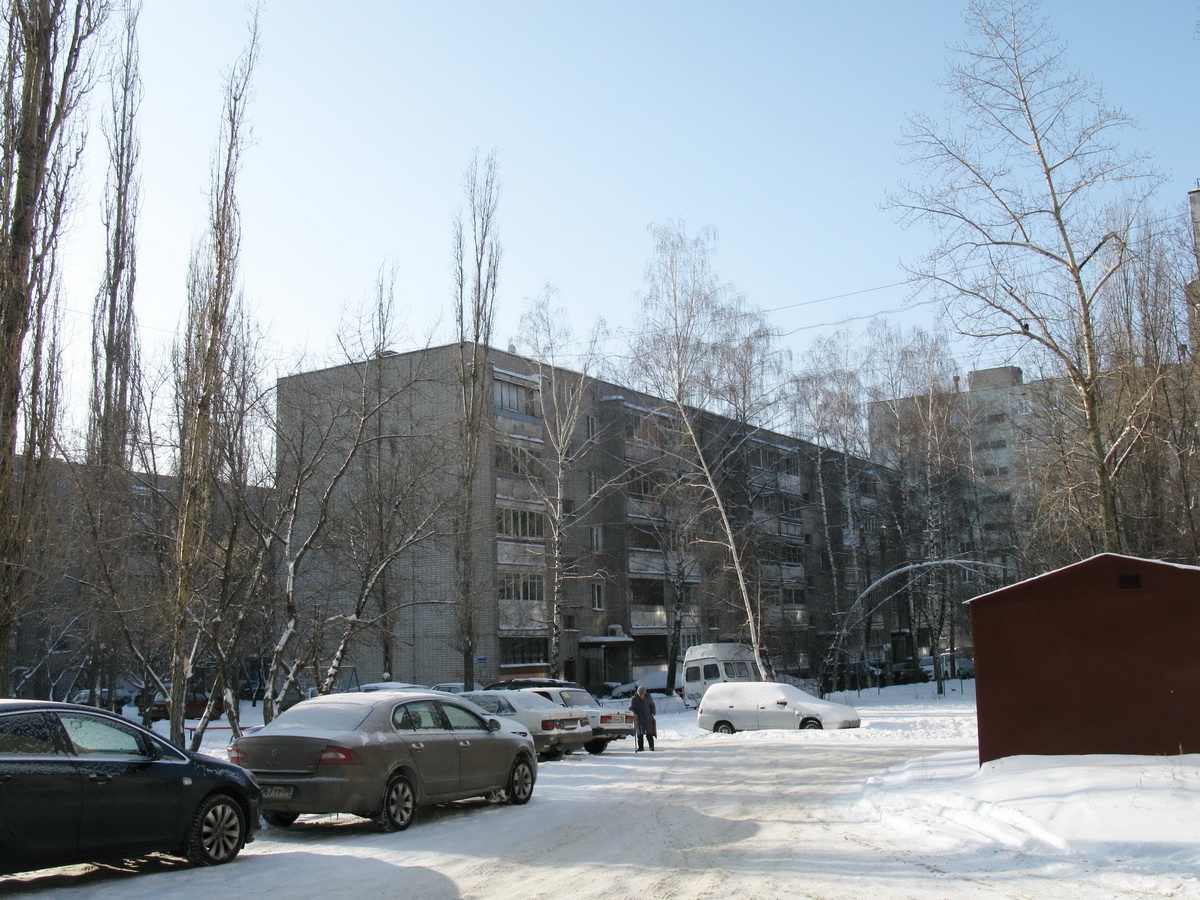 Воронеж, Новгородская улица, 133