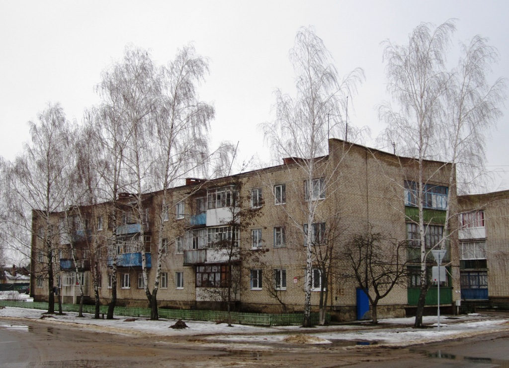 Рогачёв, Друтская улица, 183