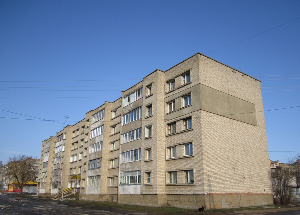 Рогачёв, Улица Александра Пушкина, 51