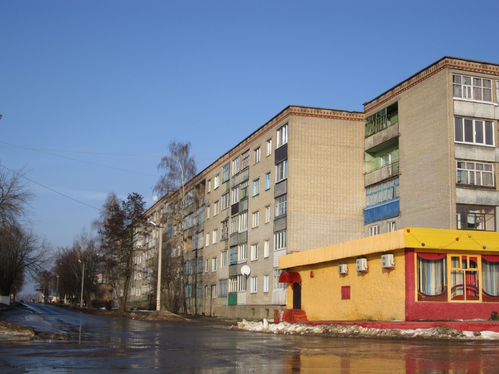 Рогачёв, Улица Пушкина, 59; Улица Пушкина, 61; Улица Свердлова, 19