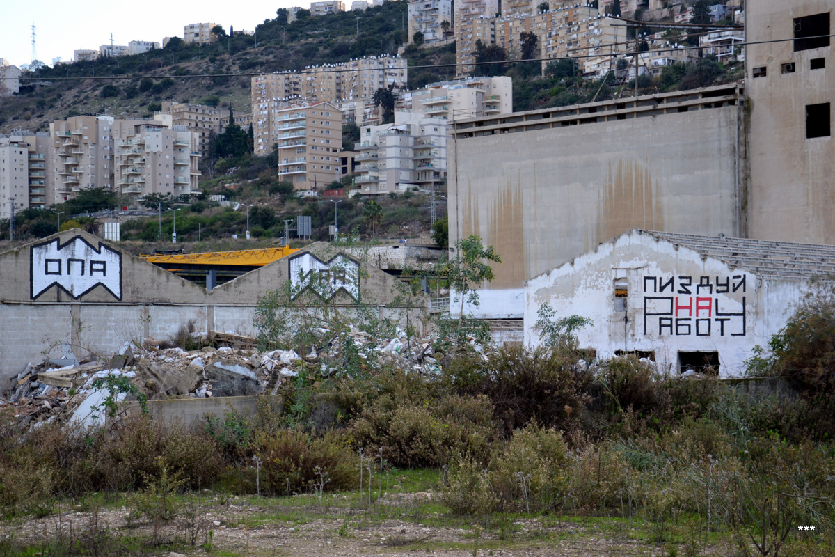 Хайфа, HaMashbir Zra'im