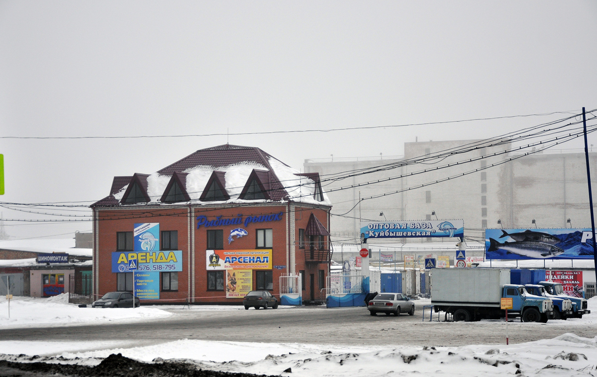 Омск, Улица 10 лет Октября, 205/2; Улица 10 лет Октября, 207; Улица 10 лет Октября, 207А/1; Улица 10 лет Октября, 207А/7