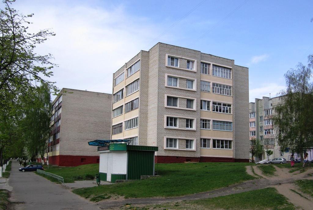 Рогачёв, Улица Ленина, 109