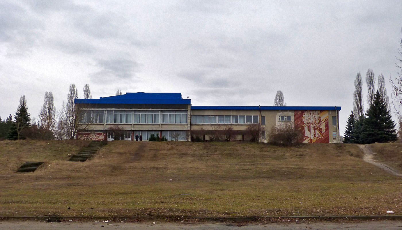 Вышгородский район, прочие н.п., с. Гавриловка, Улица Ленина, 66