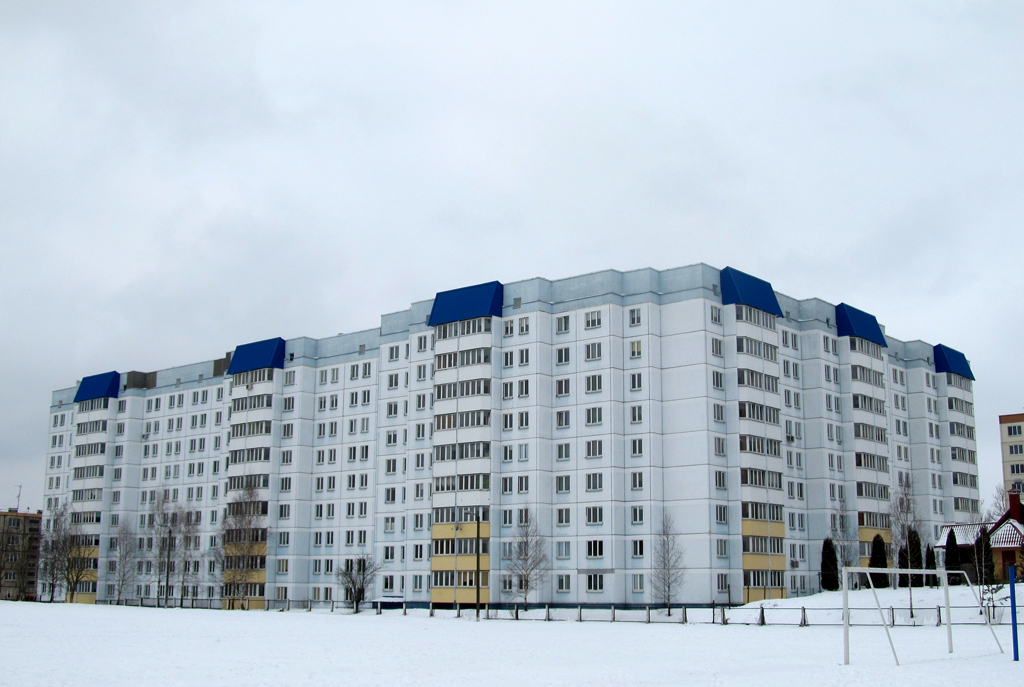 Лесной, Мирная улица, 15А