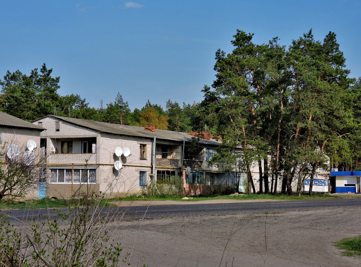 Змиевской район, прочие н.п., с. Пролетарское, улица Мира, 20