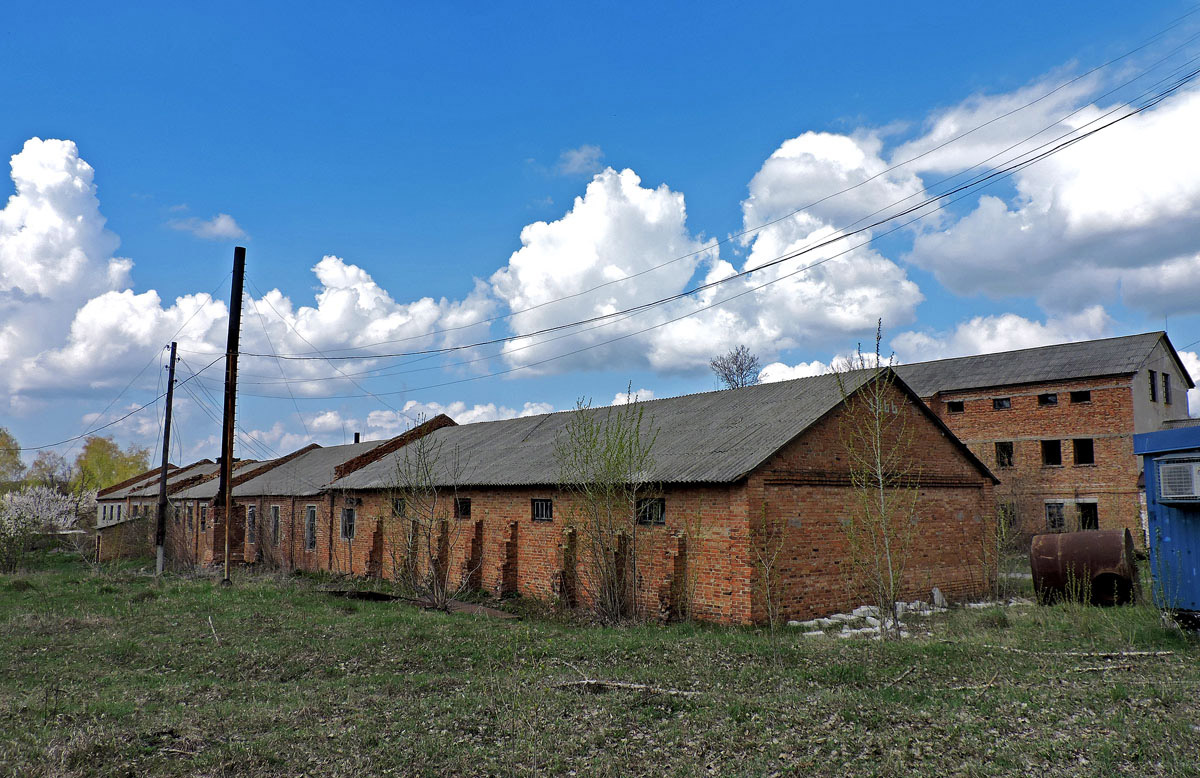 Старый Салтов, Международная улица, 2