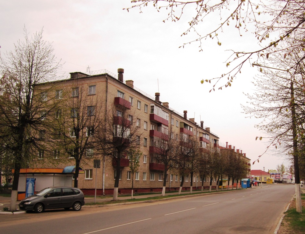 Рогачёв, Улица Ленина, 76