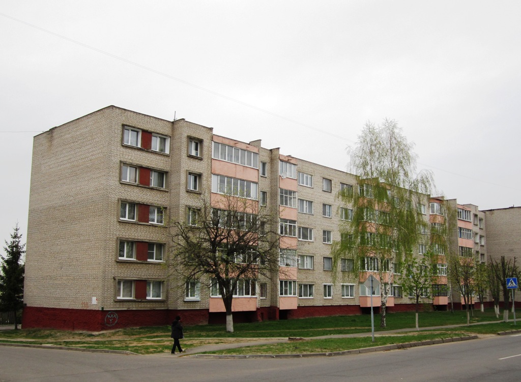 Рогачёв, Улица Ленина, 118